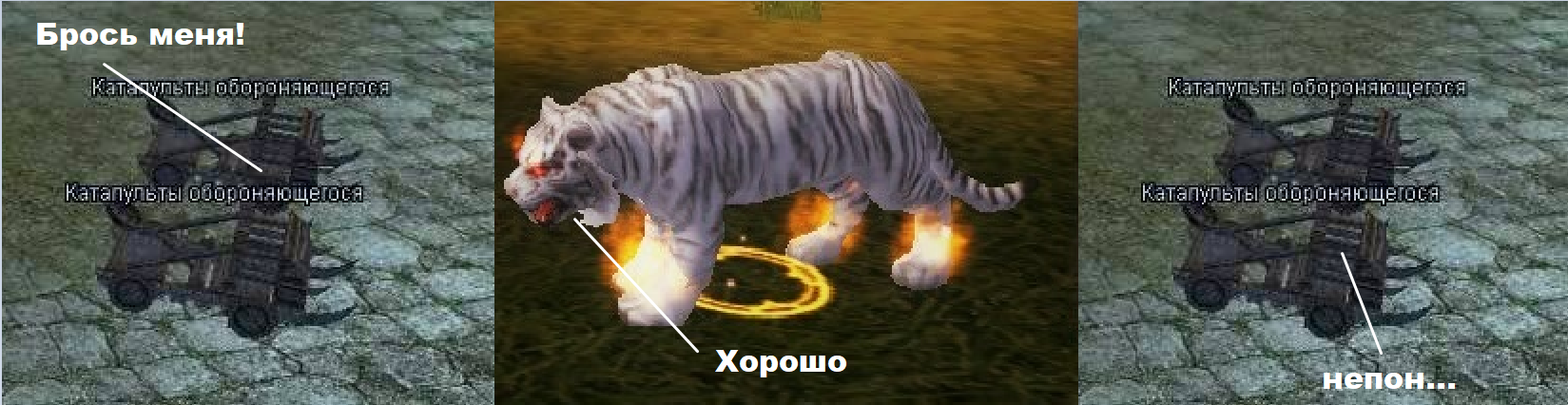 Безымянный.png