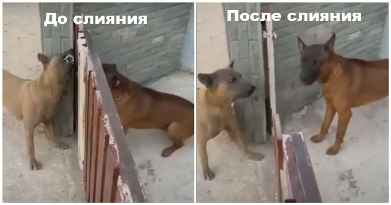 Безымянный.png