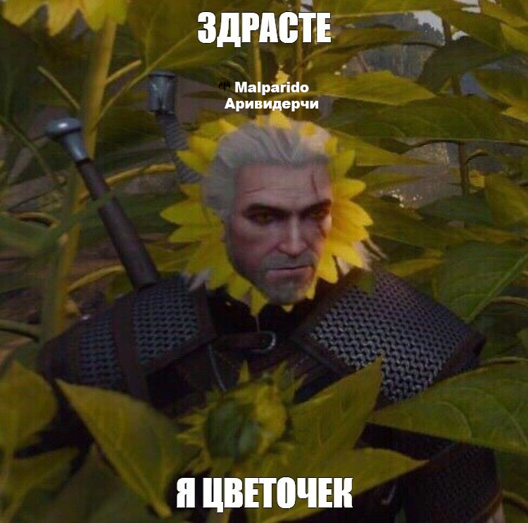 Без имени-1.png
