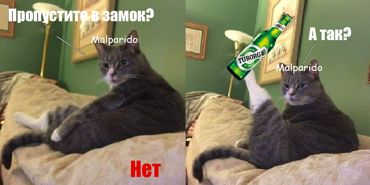 Без имени-2.png