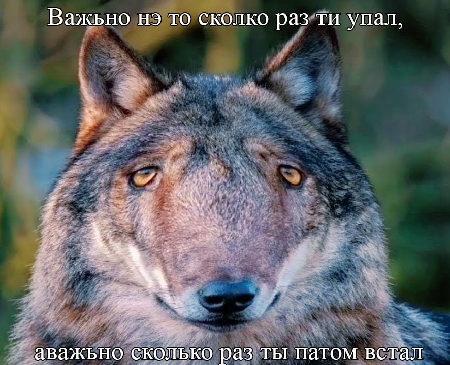 Без имени-3.png