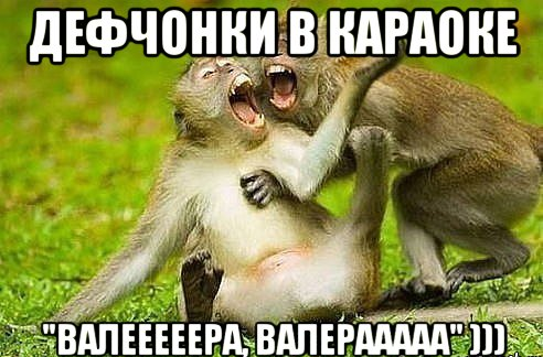 Без имени.png