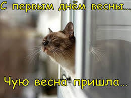 Без названия.jpeg