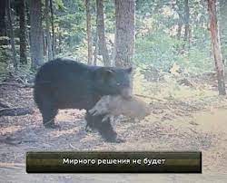 Без названия.jpg