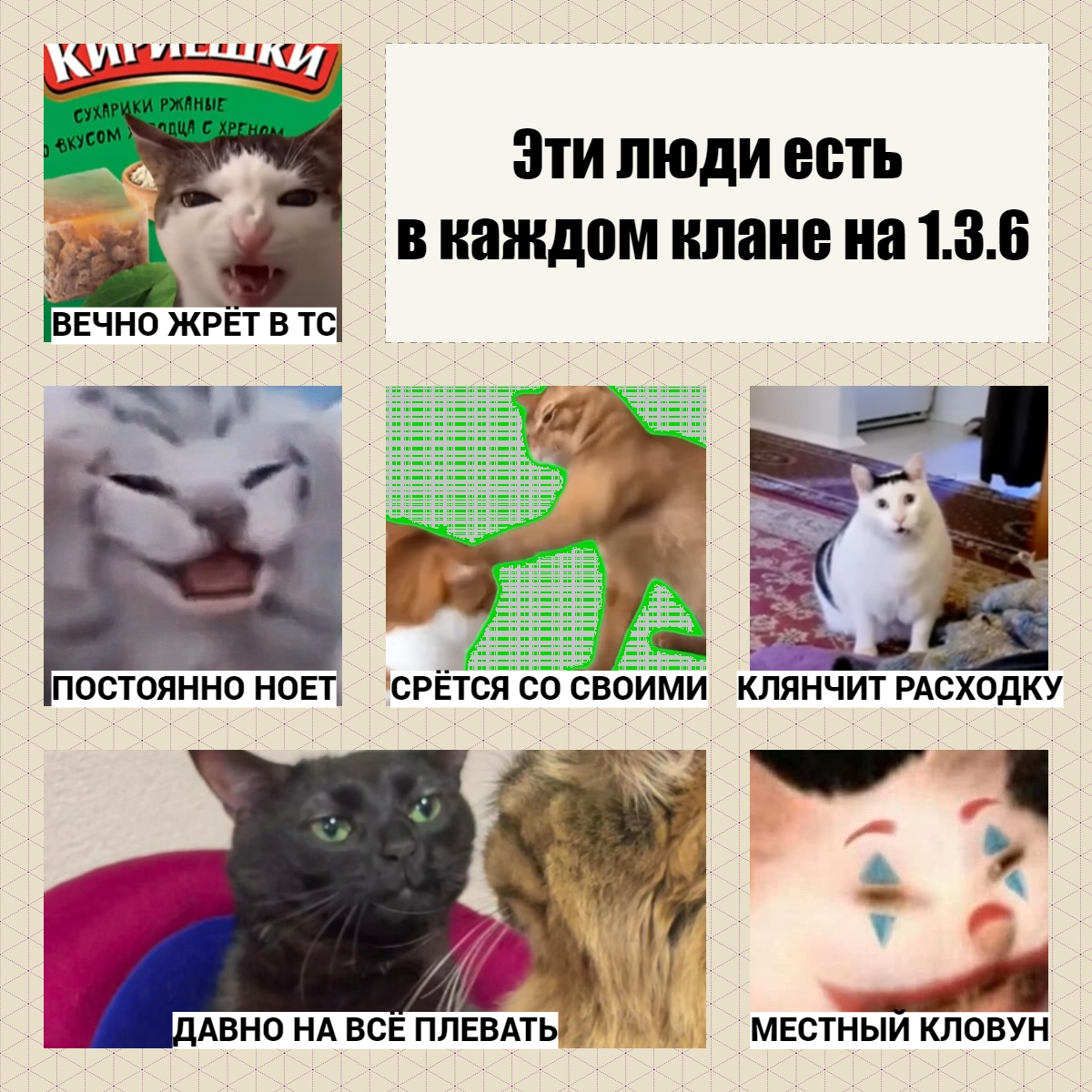 МЕМКА.jpg
