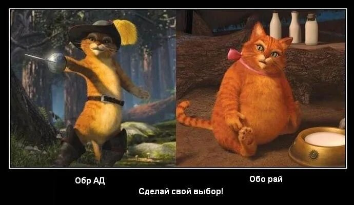 ПВ картинки.jpg