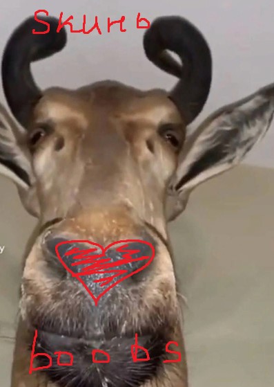 Снимок экрана 2022-10-04 215742.jpg