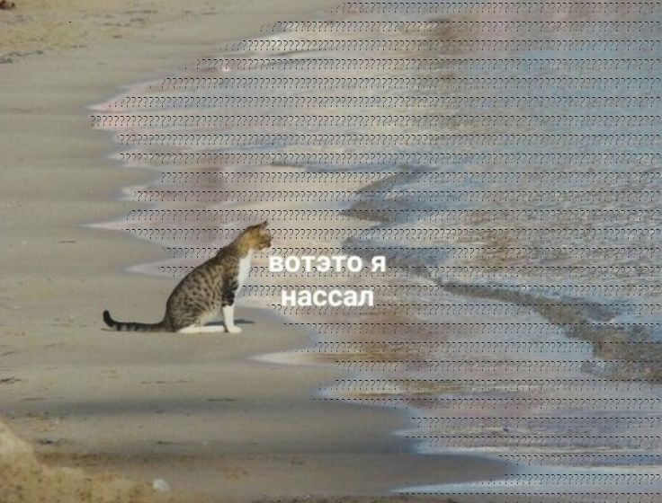 ХейтМи на форуме.jpg