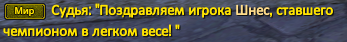 Шнес.PNG