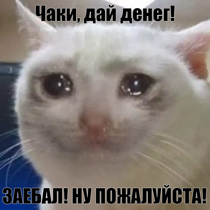 ваы.png