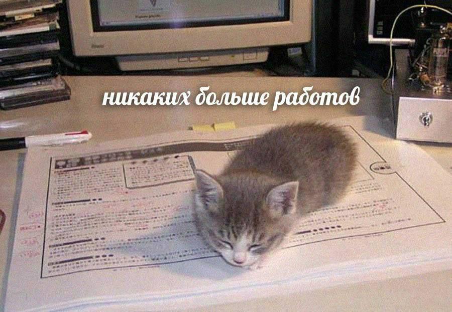 вторая фотка на пятницу.jpg