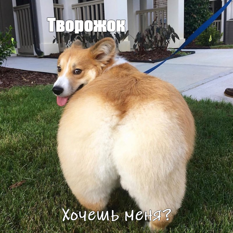 выа.png
