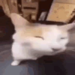 гифка-с-котом-который-облизывается-вспышка-мем-я-герой.gif