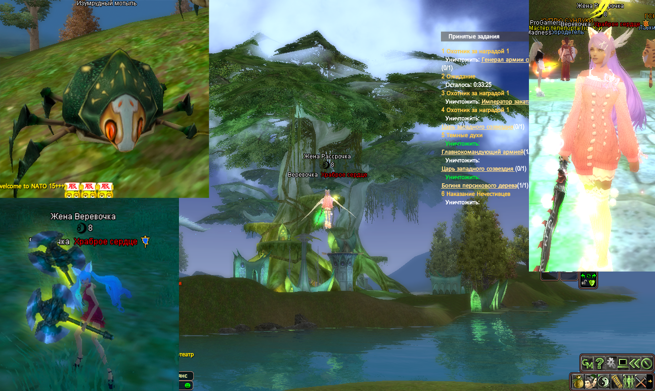 дача рефы.png