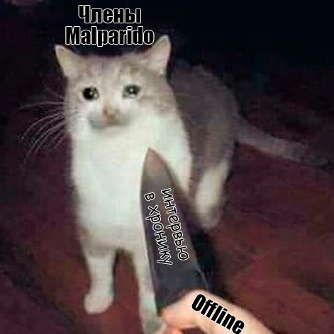 изображение_2024-01-17_002534686.png