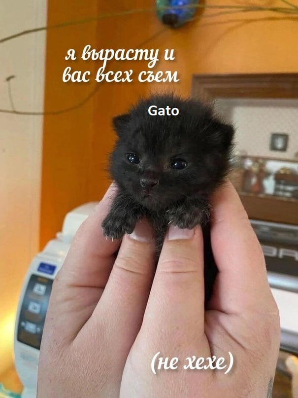 изображение_2024-04-17_110108727.png