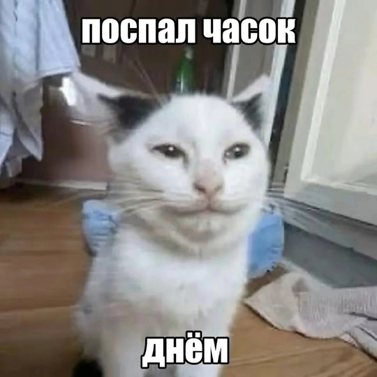 изображение_2025-05-09_000500167.png