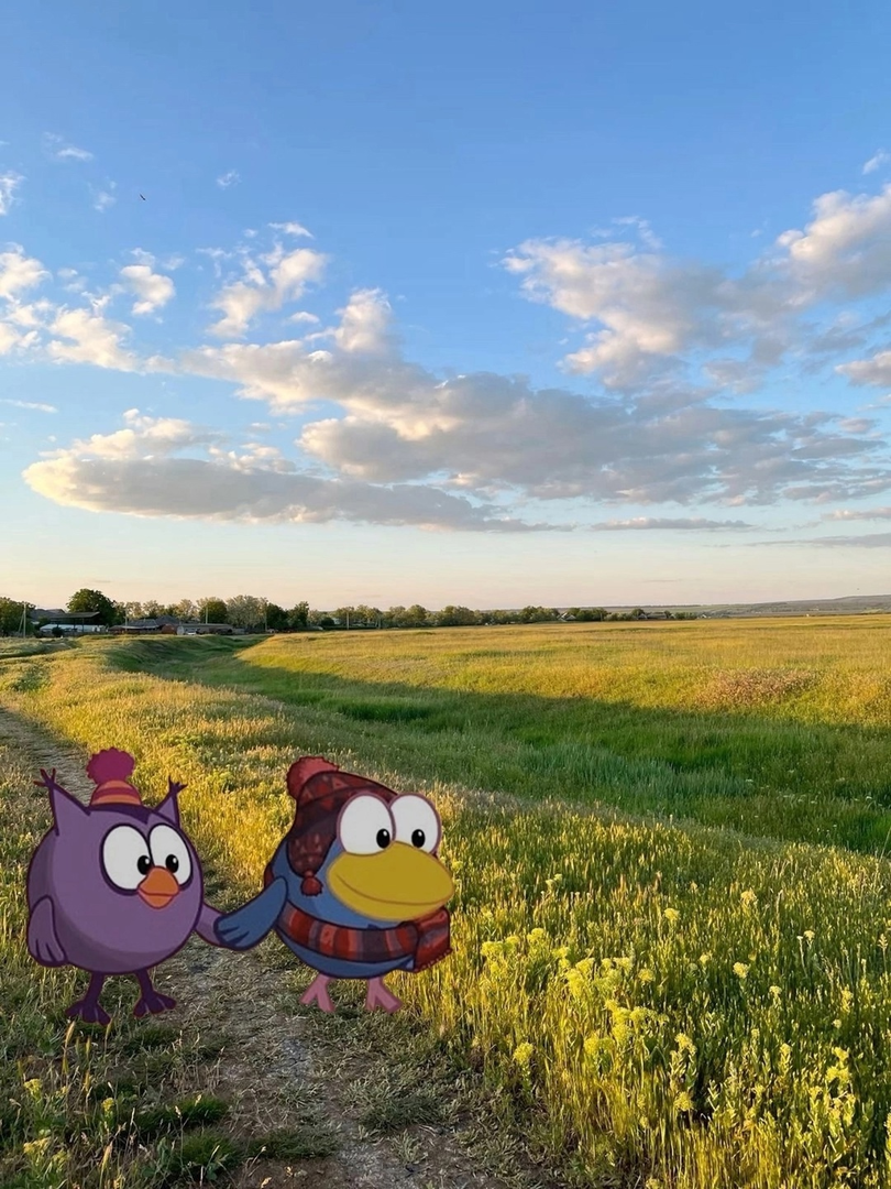 изображение_2025-06-26_230325710.png