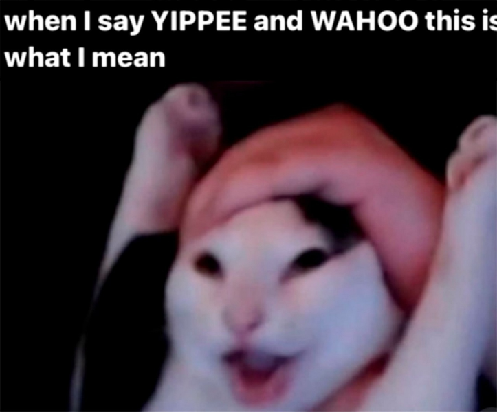 изображение_2025-07-25_195920938.png