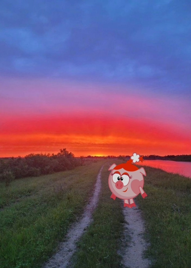 изображение_2025-08-06_200551470.png