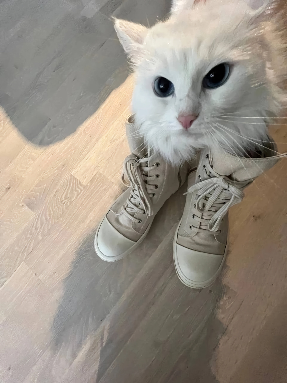 изображение_2025-08-11_215209976.png