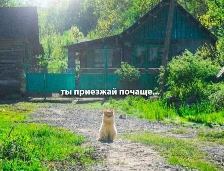 изображение_2025-08-31_212214855.png
