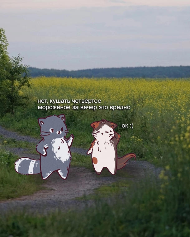 изображение_2025-09-01_222743347.png