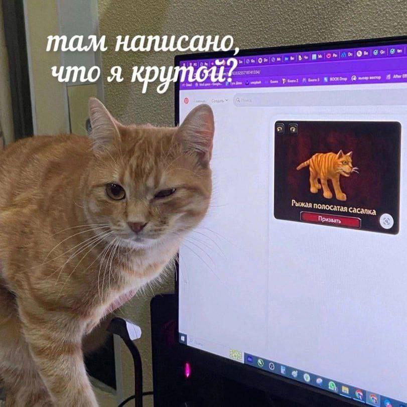 ййййййй.jpg