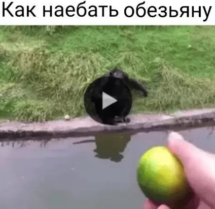 йуйу.png