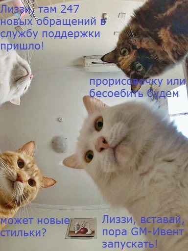 котики просят.jpg