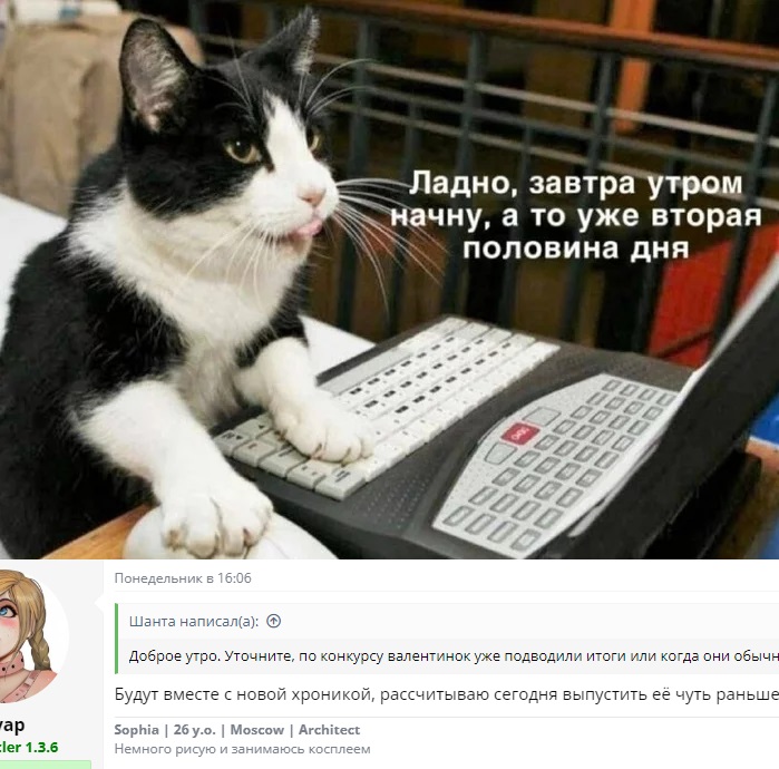 котик.jpg