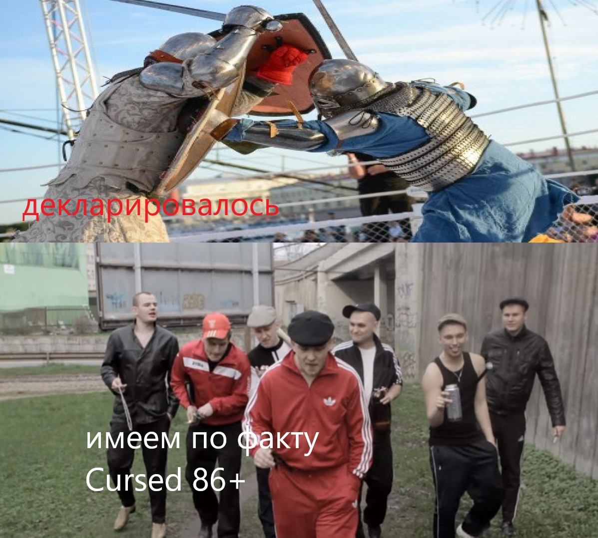 куры.jpg