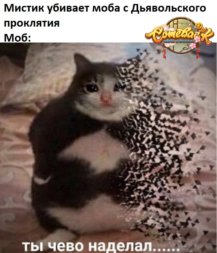мемес.jpg
