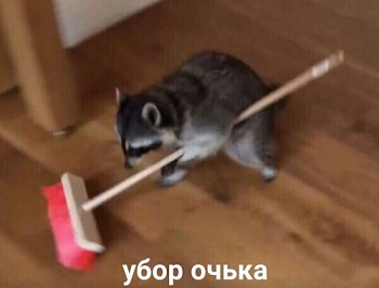 павпавпва.jpg