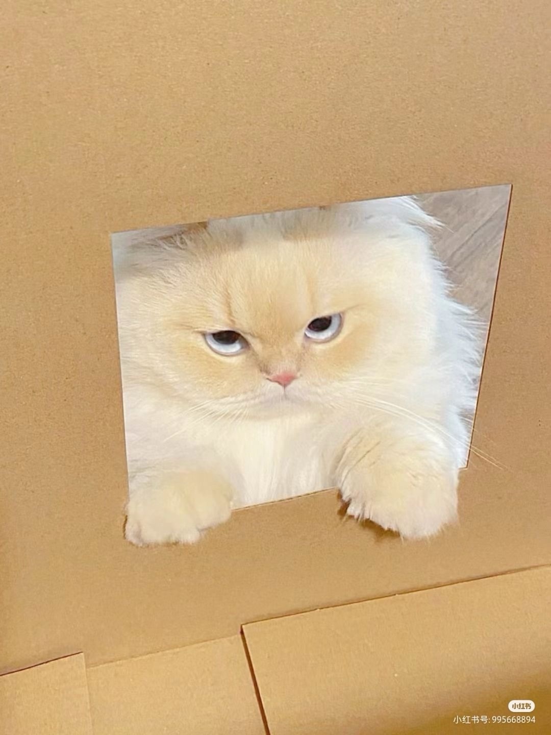 пп.jpg