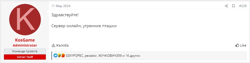 ранние пташки.jpg