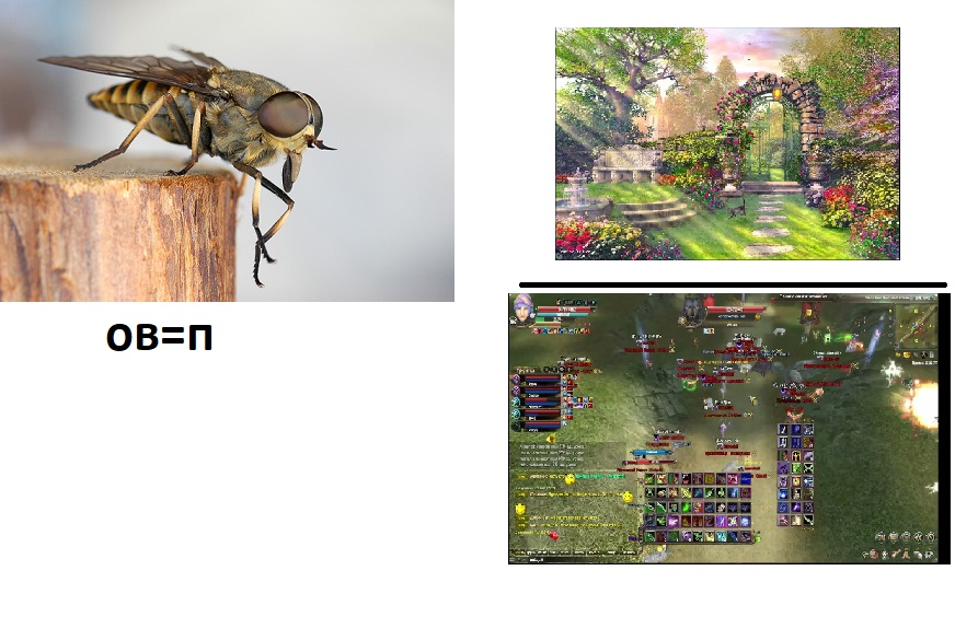 реб.jpg