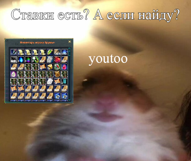 сьавки.png