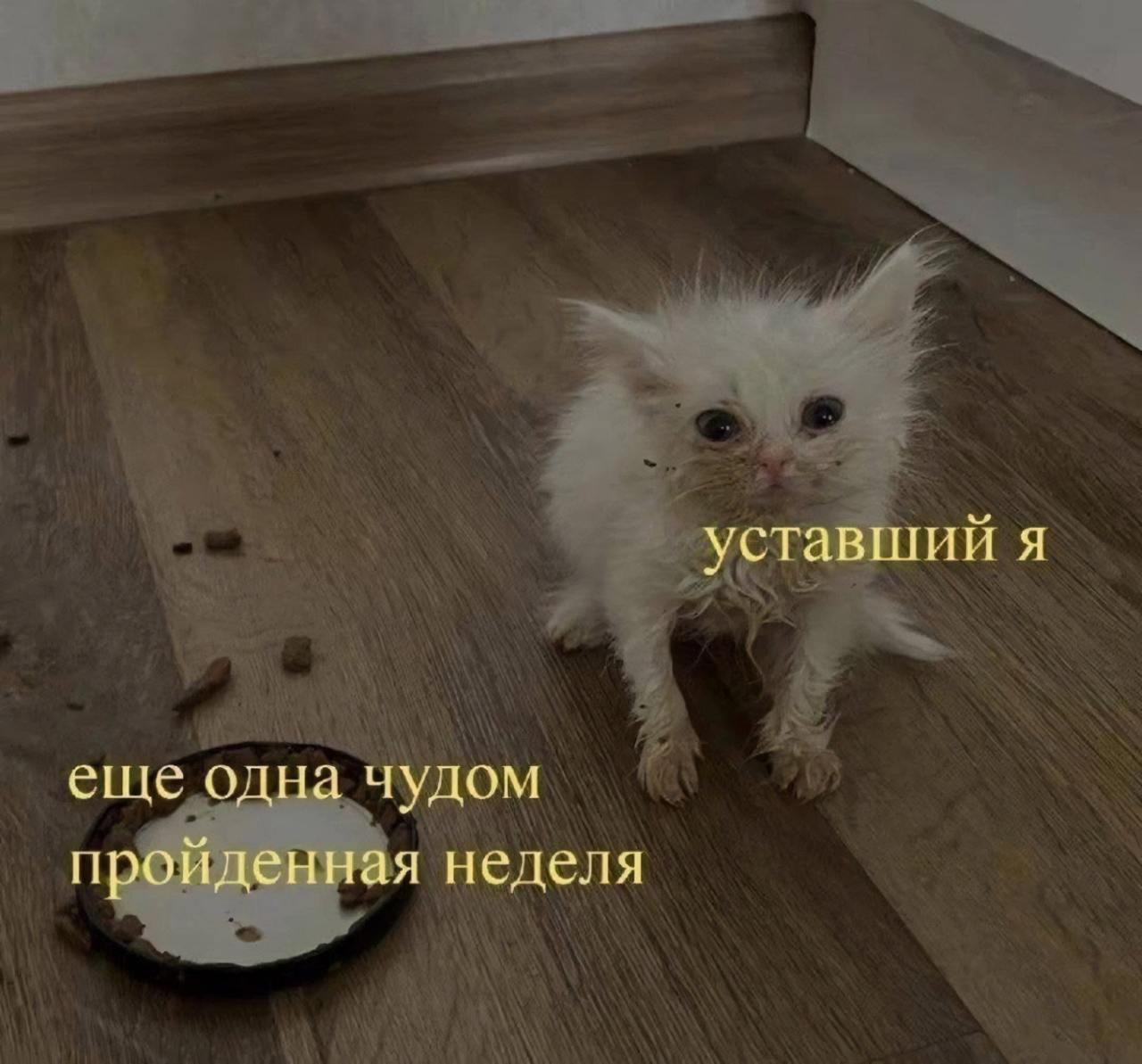 фотка на пятницу.jpg