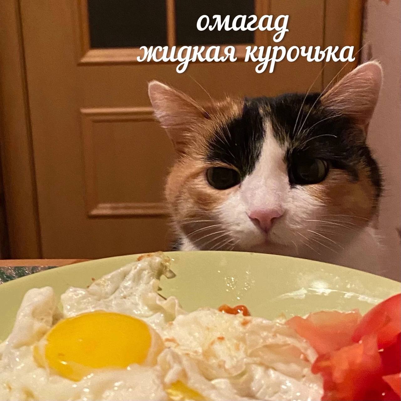05B405EF-3714-461F-BE33-1E1072750BB2.jpeg