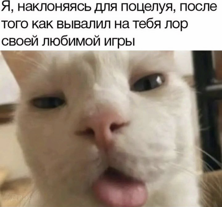 0687D1A0-4582-467D-A779-78FD00433315.jpeg
