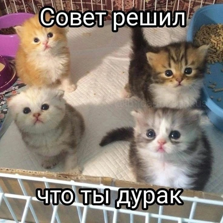 083C5B94-D85C-48F0-8127-98333017CE74.png