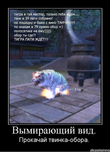 0964842.jpg