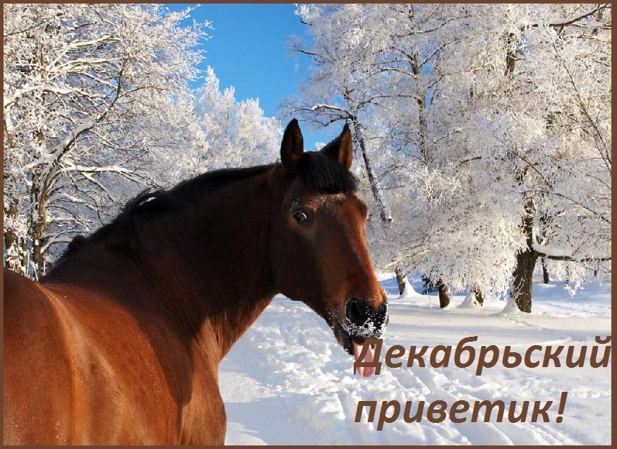 0a76ca9b2e54553958006a3c6e1db982.jpg