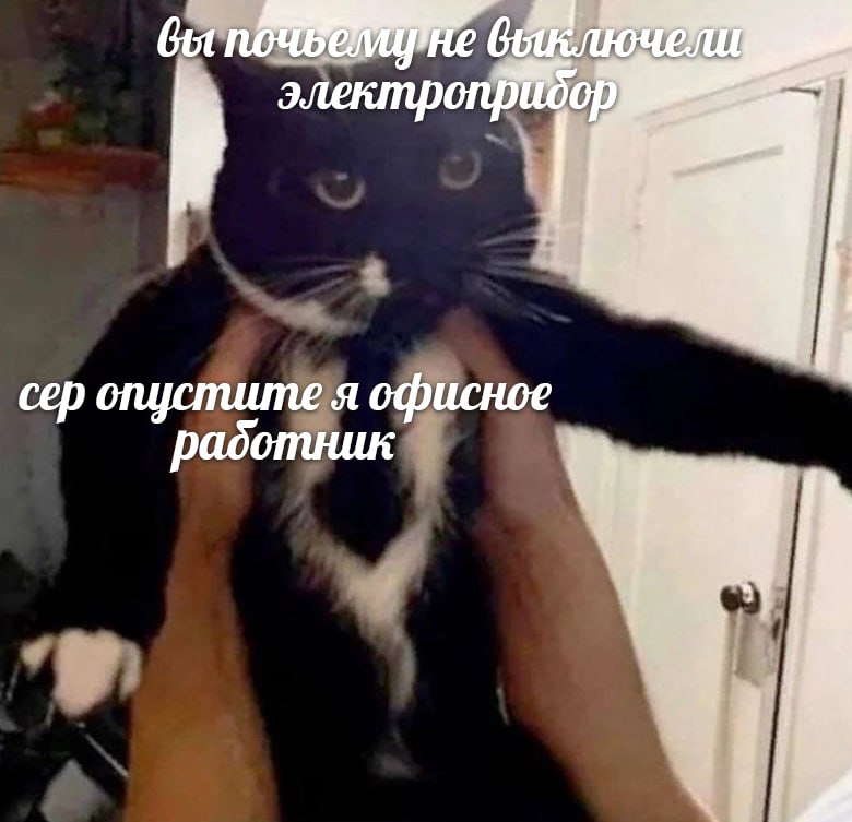 0E9BAF5A-BFF6-40CA-9A80-4AA67895B1B4.jpeg
