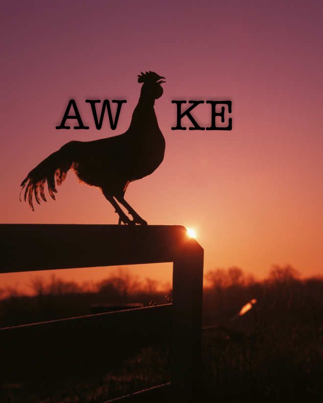 0ebb6e4d0e949d07df3186dd744b34fb.jpeg