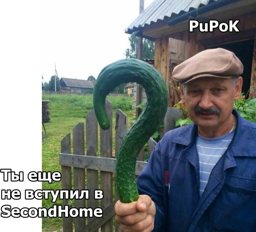 1~2.jpg
