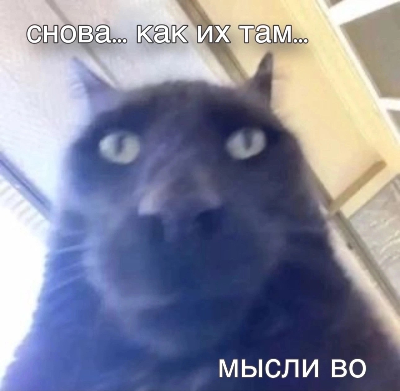 1000001848.jpg