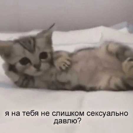 1000001853.jpg