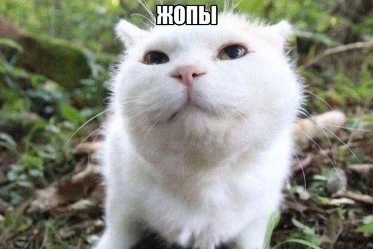 1000001855.jpg